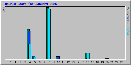 Hourly usage for January 2026